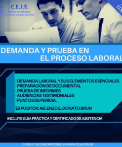 Seminario demanda y prueba en el proceso laboral