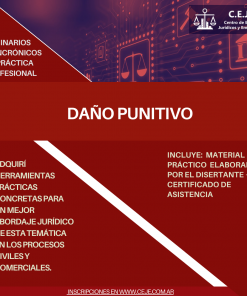 Seminario asincrónico sobre daños punitivos