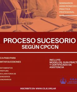 Seminario asincrónico en práctica en sucesiones según el CPCCN
