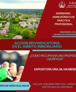 Acción reivindicatoria en el ámbito inmobiliario asincrónico