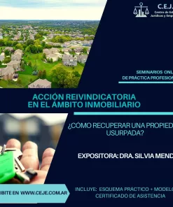 Acción Reivindicatoria en el Ámbito Inmobiliario